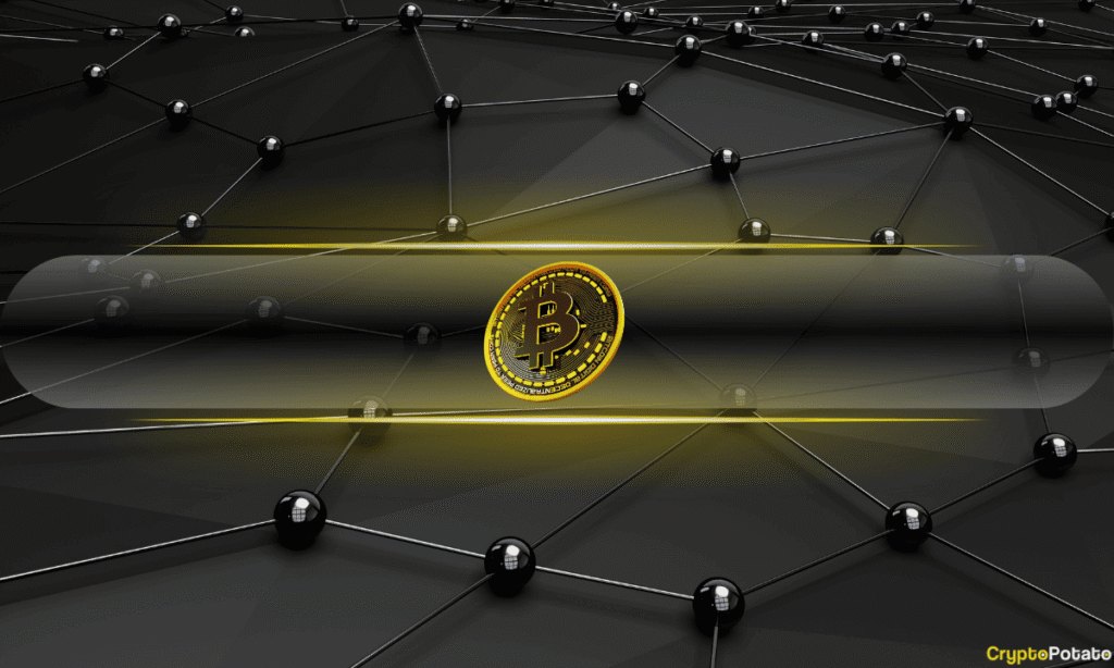 Bitcoin’s Historic Capitulation Zone Is Near $38.4K: But Something Is Changing Bitcoin's Historic Capitulation Zone Is Near $38.4K: But Something Is Changing