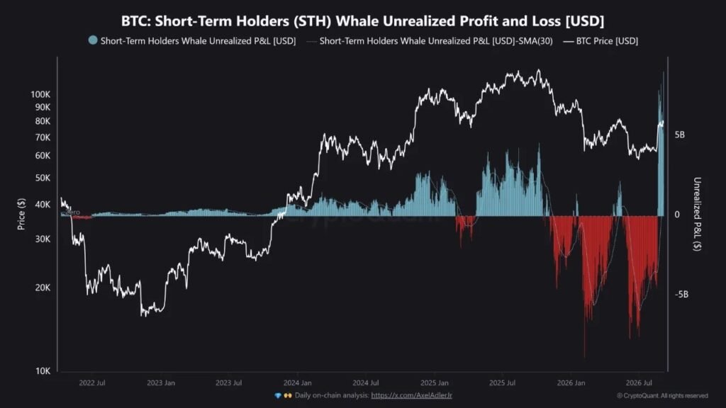 Bitcoin’s $9.07B Whale Profit Record Puts Rally Floor to Test Bitcoin's $9.07B Whale Profit Record Puts Rally Floor to Test