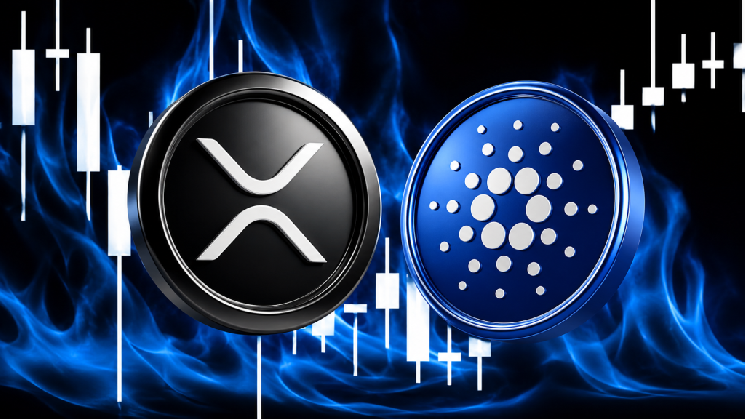Experienced Analyst Claims There Is a Bullish Signal for Cardano (ADA) and Ripple (XRP) Experienced Analyst Claims There Is a Bullish Signal for Cardano (ADA) and Ripple (XRP)