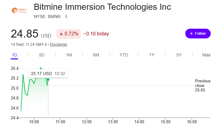 Bitmine (BMNR) Stock Price | Source: Google Finance