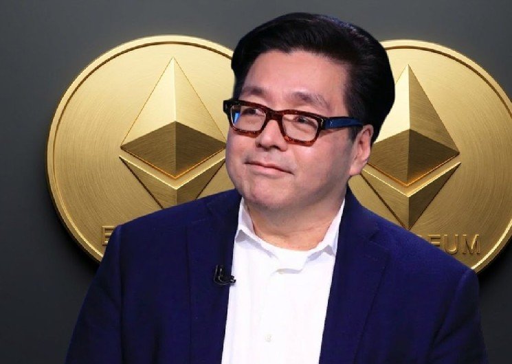 Tom Lee, CEO of Ethereum company Bitmine, predicts the crypto market could be very strong in the next 12 months! Tom Lee, CEO of Ethereum company Bitmine, predicts the crypto market could be very strong in the next 12 months!