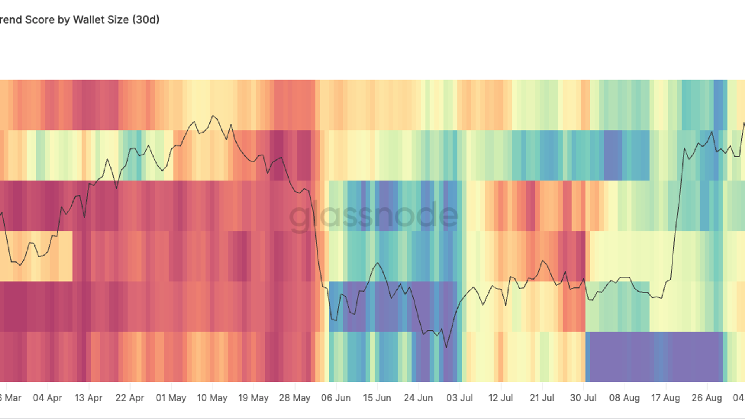 Bitcoin struggles at $83,000 sell wall as whales distribution flip into net selling Bitcoin struggles at $83,000 sell wall as whales distribution flip into net selling