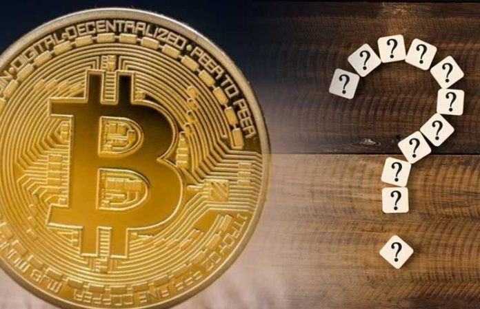 As Bitcoin Continues to Fall, Institutional Money Flows into Altcoins! Here Are Two Altcoins That Are Favorites Among Investors! As Bitcoin Continues to Fall, Institutional Money Flows into Altcoins! Here Are Two Altcoins That Are Favorites Among Investors!
