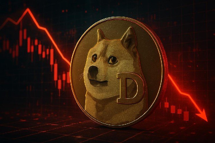 Dogecoin price today squeezes near $0.08 as market cap drops 2% Dogecoin price today squeezes near $0.08 as market cap drops 2%