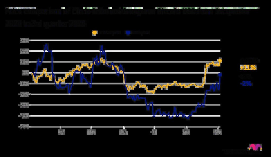 How Circle Internet Stock Gained 52.6% Last Month
