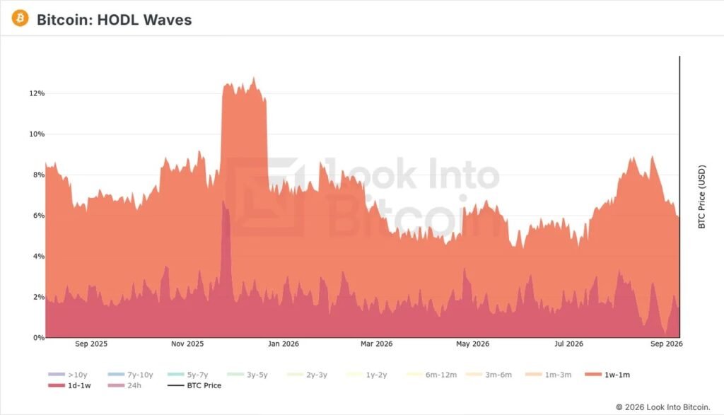 Bitcoin HODL Waves chart showing bitcoin evolution by inactivity duration in wallets.
