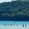 Asia's 'most beautiful island' records 94% surge in foreign tourists in August Asia's 'most beautiful island' records 94% surge in foreign tourists in August