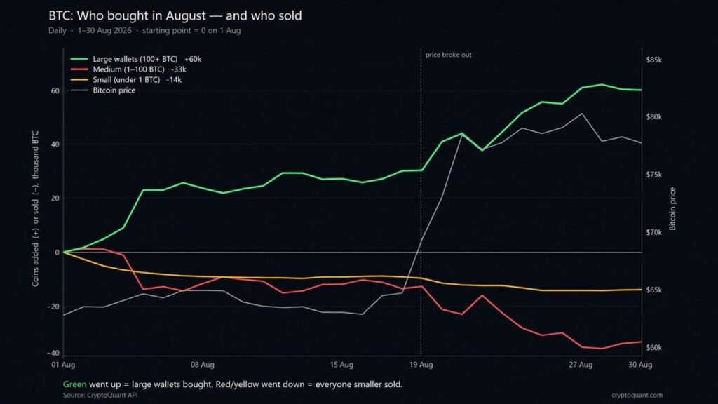 Bitcoin Price Rally Hid a 60,000 BTC Whale Buying Spree Bitcoin Price Rally Hid a 60,000 BTC Whale Buying Spree
